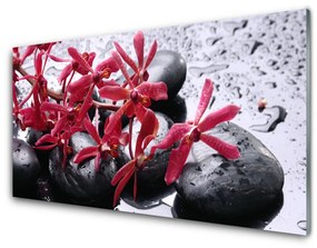 Quadro su vetro acrilico Pietre di fiori Art 100x50 cm