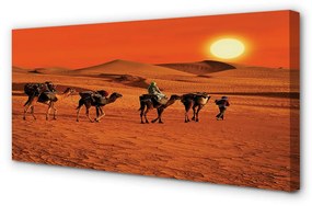 Foto quadro su tela Cammelli persone desertici del sole cielo 100x50 cm