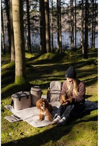 Borsa termica beige 9 l City – Sagaform