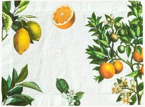 Set di 2 tovagliette americane in lino Citruses