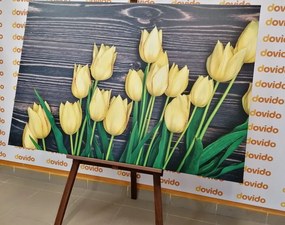 Quadro su tela – Incantevoli tulipani gialli su sfondo di legno