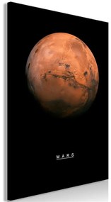 Quadro Mars (1 Part) Vertical