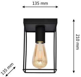 Plafoniera FINN 1xE27/15W/230V nero