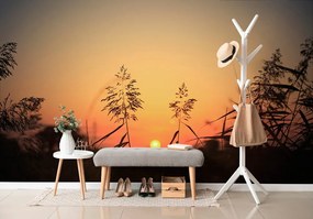 Carta da parati – Steli d'erba al tramonto
