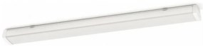 Philips 31247/31/P3 - Lampada tecnica LED AQUALINE LED/50W/230V IP65 4000K