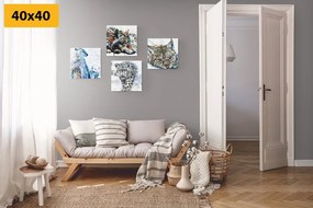 Set di quadri – Animali in interessante versione acquerello