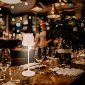 Briloner 7517016 - Lampada da tavolo LED RGB dimmerabile CILANO 3W/5V IP44 2000 mAh bianca