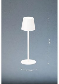 Lampada da tavolo dimmerabile a LED bianchi con sensore di movimento e paralume in metallo (altezza 38 cm) Tropea - Fischer &amp; Honsel