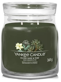 Silver Sage Pine, candela giara media Yankee Candle