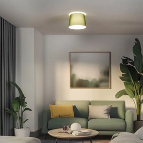 Brilagi - Plafoniera LED a montaggio superficiale CERIA 1xE27/40W/230V Ø 30 cm verde