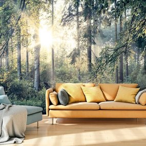 Fotomurale adesivo  Tales of a Forest  Larghezza x Altezza Home decor 147x105