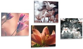 Set di quadri – Delicatezza dei fiori