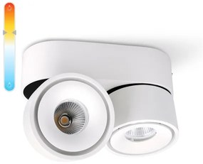 Faretto LED dimmerabile LAHTI MINI 2xLED/9W/230V 3000K CRI 90 bianco