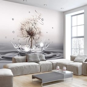 Fotomurale adesivo  Wind Drops  Larghezza x Altezza Home decor 98x70