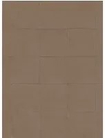Arte International Carta da parati Campo - 21045 Braun