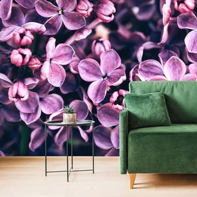 Carta da parati – Fiori di lillà viola
