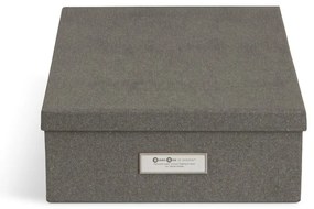 Organizzatori di documenti in cartone in set da 5 Holger - Bigso Box of Sweden