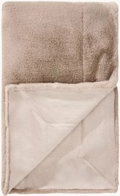 Coperta Dave