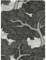 Harlequin Carta da parati Eternal Oak - Ebony/ First Light