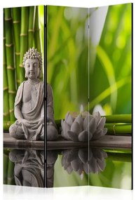 Paravento  Meditation [Room Dividers]  Colore Verde, Dimensioni e Misure 135x172