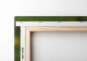 Quadro su tela – Fiore di margherita