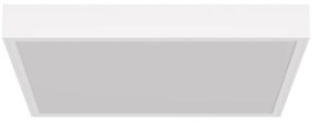 Plafoniera LED 60x60 45W Rosa per Banco Carni, con driver Philips Colore Rosa Alimentare