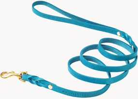 Guinzaglio per cani in pelle Classic, varie misure