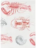 Mindthegap Carta da parati Lobster - WP20012