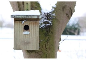 Cassetta di legno per cinciallegre - Esschert Design