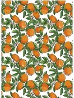 Jannelli & Volpi Carta da parati Tangerine - 25540