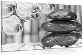 Stampa su tela – Giardino Zen giapponese in bianco e nero