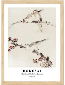 Poster in cornice 35x45 cm Hokusai - Wallity