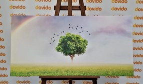 Stampa su tela – Albero solitario nel prato