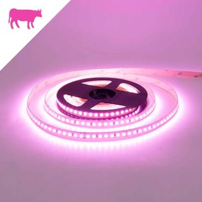 Striscia LED Professional per Banco Carni
