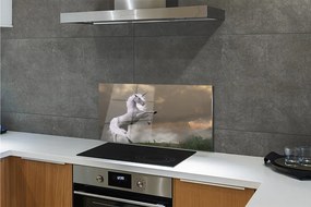 Pannello paraschizzi cucina Montagne di unicorno 100x50 cm