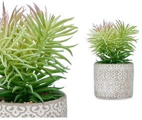 Pianta Decorativa Succulenta Legno Plastica 12 x 22 x 12 cm (8 Unità)