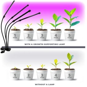 Lampada LED dimmerabile con clip per piante VITARO 4xLED/10W/230V nera