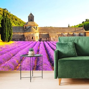 Carta da parati – Provenza con campi di lavanda