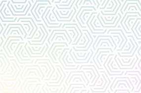 Carta da parati – Motivo ombreggiato trendy