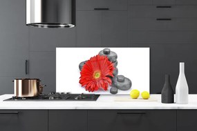 Pannello cucina paraschizzi Fiori di gerbera rossa 100x50 cm