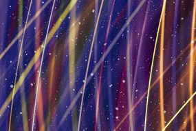 Quadro su tela – Astrazione romantica