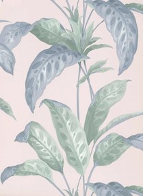 Paint & Paper Library Carta da parati Tropicane - Plaster