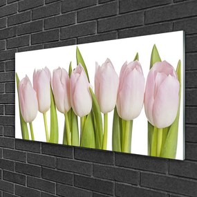 Quadro in vetro Tulipani Fiori Pianta 100x50 cm