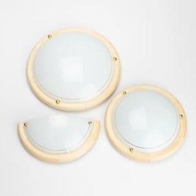 Rabalux 5411 - Plafoniera UFO 1xE27/60W/230V