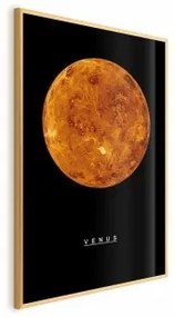 Poster - Venus Cornice d'oro 21x30