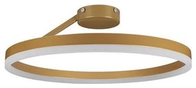 Lampadario a plafone LED dimmerabile LED/40W/230V 3000-6500K oro + telecomando