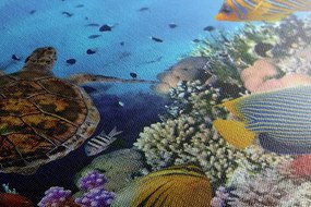 Stampa su tela – Mondo sottomarino