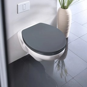 Sedile WC con chiusura Easy-Close (automatica) 37 x 44,5 cm Ostuni – Wenko