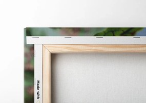 Quadro su tela – Fiore di loto rosa