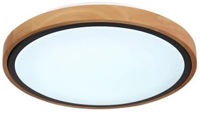 Globo 41764-12 - Plafoniera LED BRUNO LED/12W/230V 307 mm 3000/4500/6000K